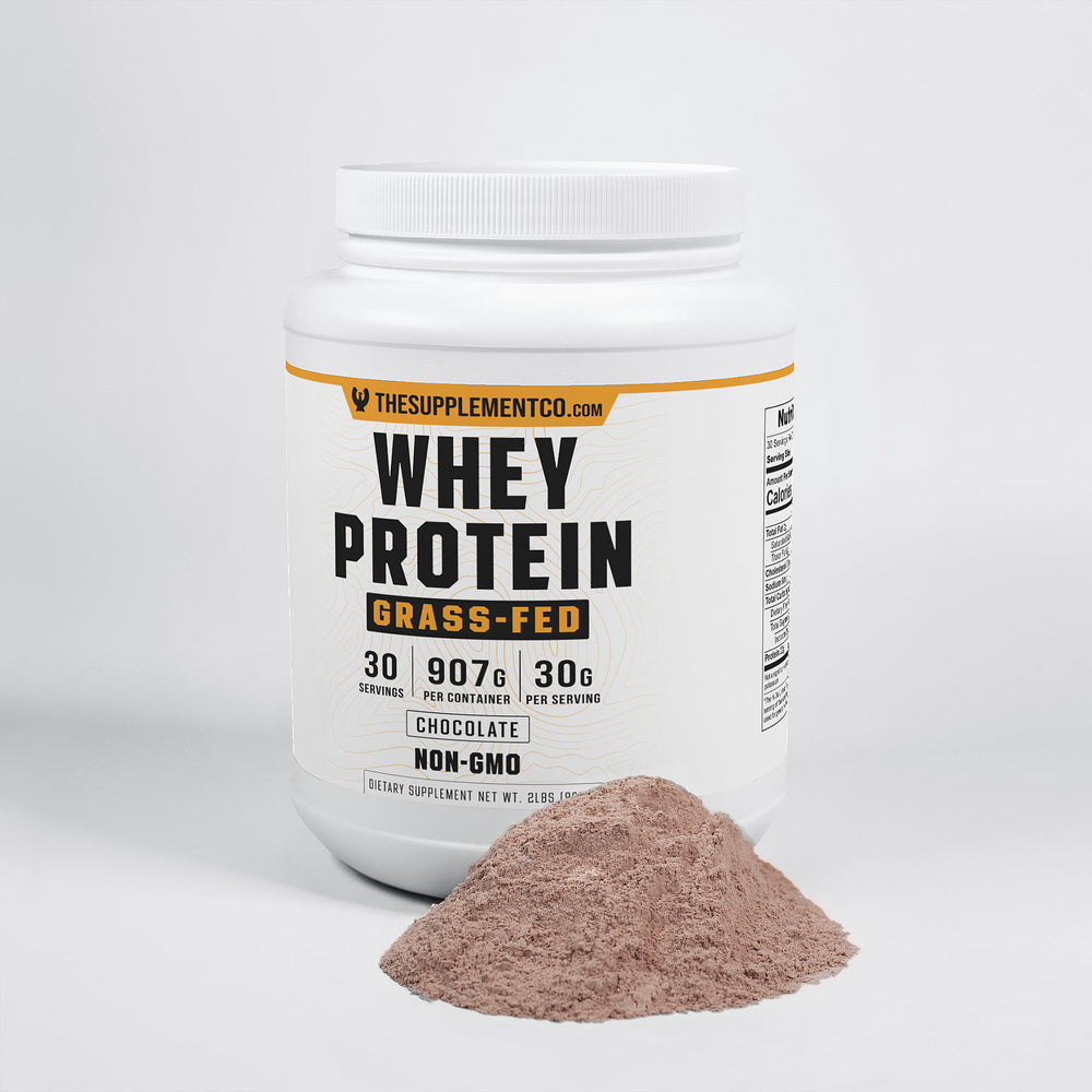 
                  
                    Whey Protein (Chocolate Flavour)
                  
                